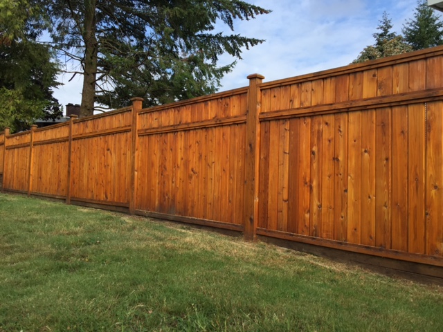rock solid cedar fence stained and installed